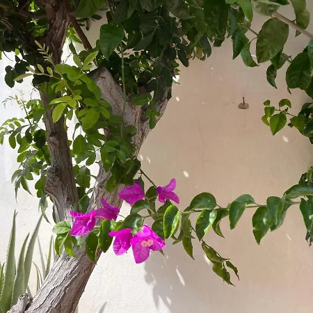 Parque Holandes Fuerteventura Casa Mayte *